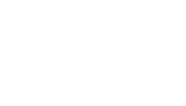 LakeSemi 仙湖半导体
